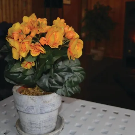 Holiday Blomstervangen Denm Iv Oksbøl